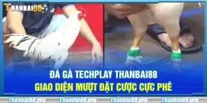 Đá gà Techplay Thanbai88 – Giao diện mượt đặt cược cực phê