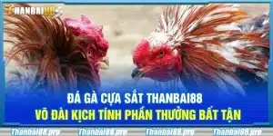 Đá gà cựa sắt Thanbai88 – Võ đài kịch tính phần thưởng bất tận