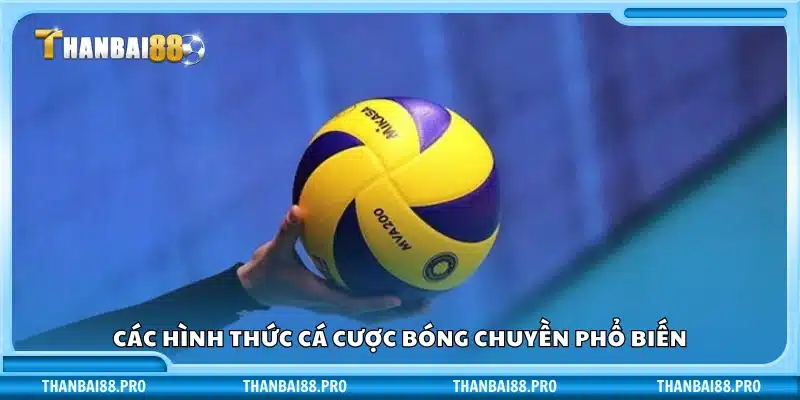 Các loại kèo bóng chuyền được yêu thích