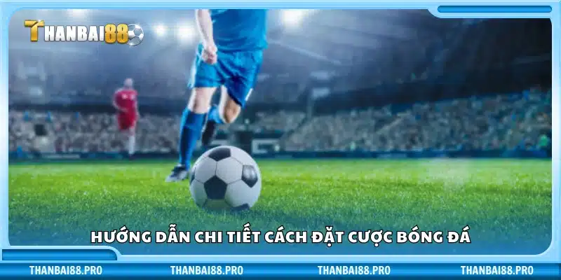 Cách chơi và đặt cược bóng đá từ A đến Z