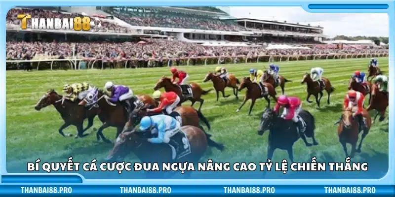 Kinh nghiệm chơi đua ngựa dễ thắng lớn