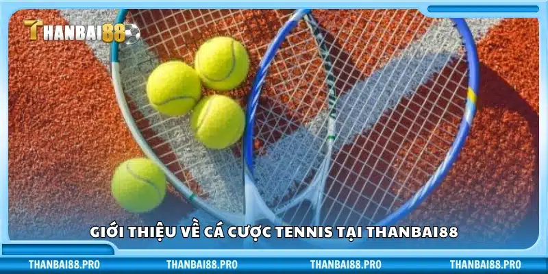 Tổng quan cá độ quần vợt tại Thanbai88