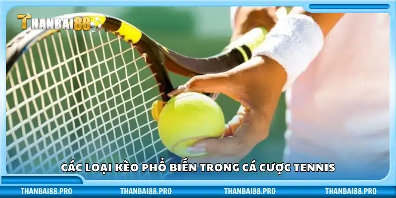 Dạng kèo tennis được ưa chuộng nhất