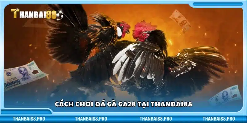 Hướng dẫn chơi đá gà GA28 trên Thanbai88