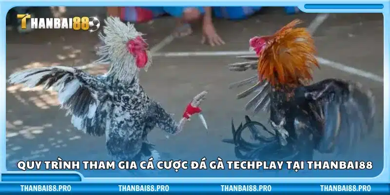 Các bước tham gia cược đá gà Techplay trên Thanbai88