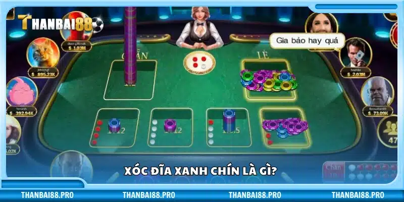 Xóc đĩa xanh chín là gì? 