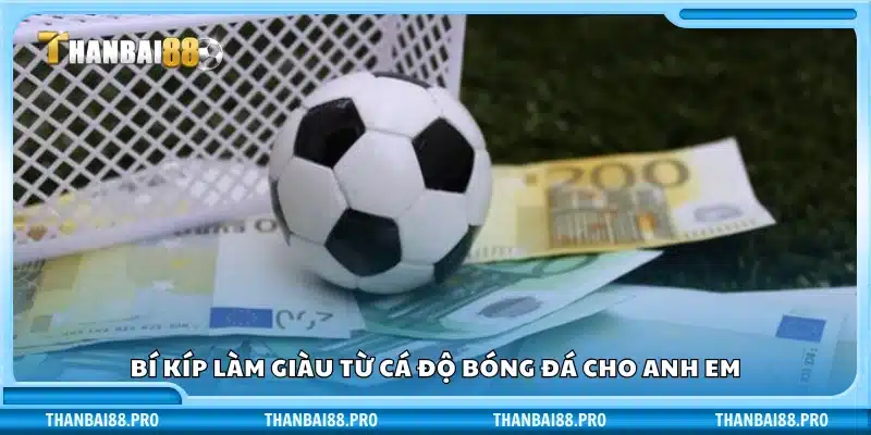 Kinh nghiệm làm giàu từ cá độ bóng đá cho dân chuyên
