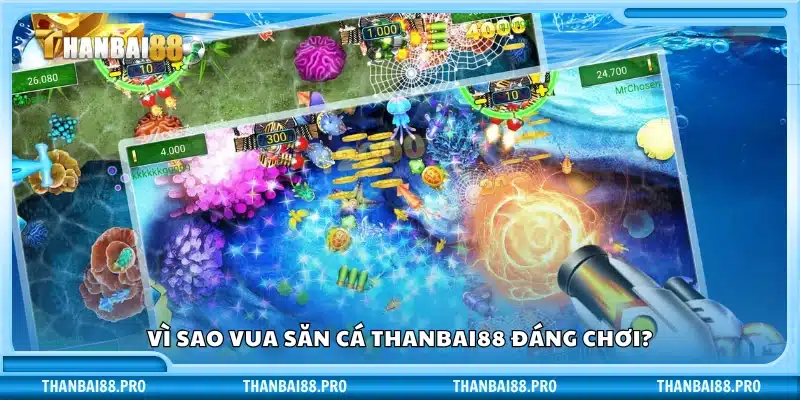 Điểm mạnh khiến vua săn cá đáng thử